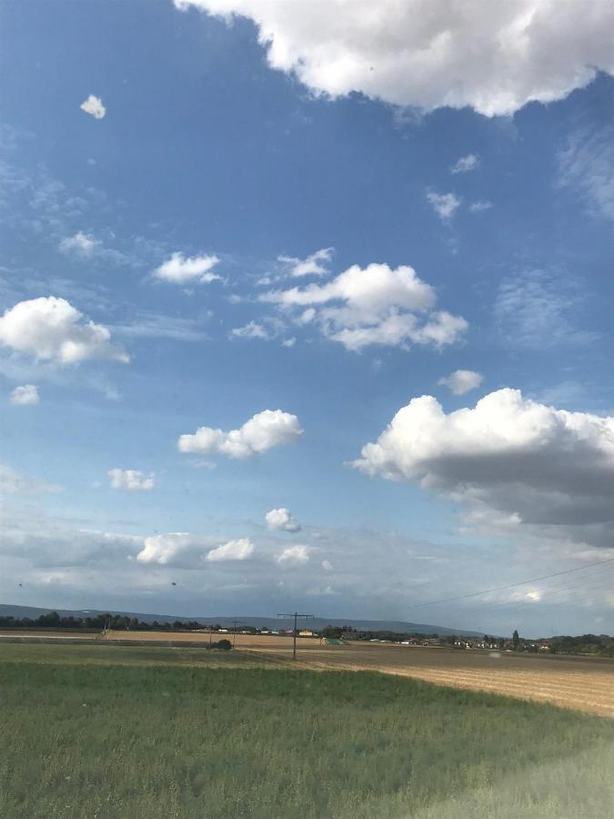 Laupus-Hof Διαμέρισμα Bad Vilbel Εξωτερικό φωτογραφία